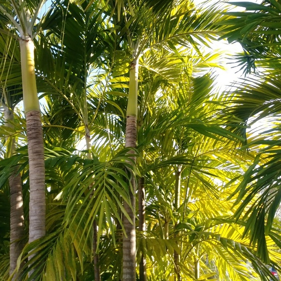 Heyyy - Picture 6 of 8